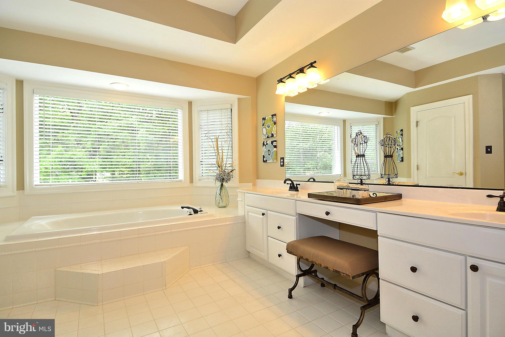 10775 Riverscape Run Great Falls, VA 22066 - Photo 16 of 30 Bath (Master)