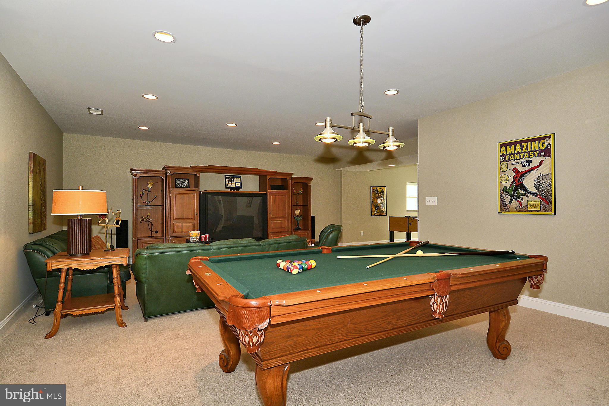 10775 Riverscape Run Great Falls, VA 22066 - Photo 22 of 30 recreation room