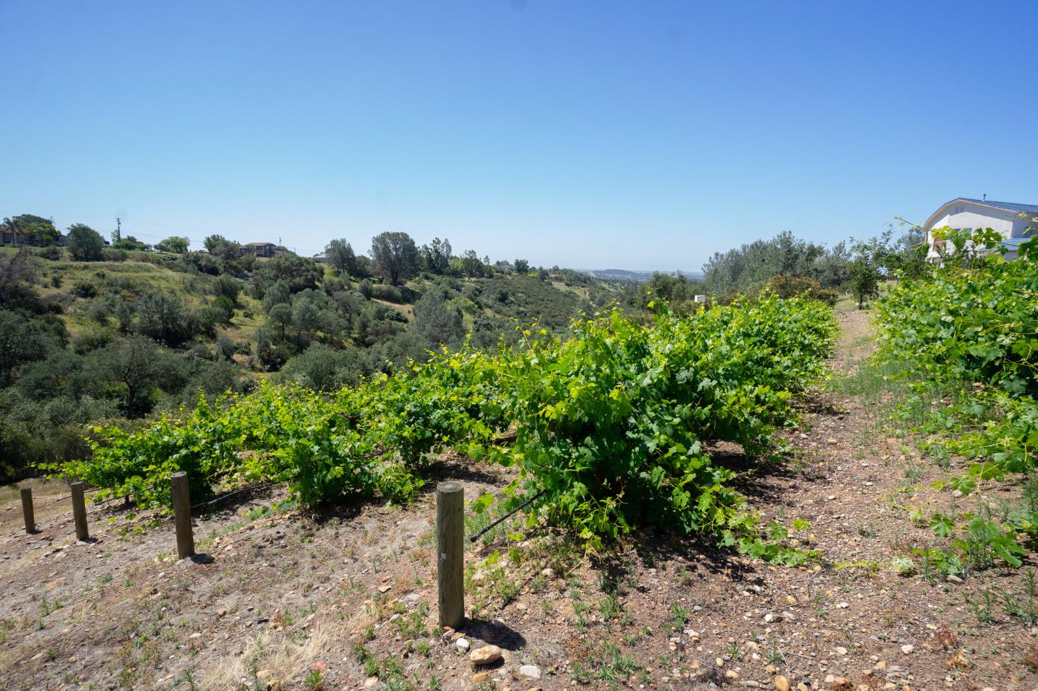 3235 Hagen Road Valley Springs, CA 95252 - Photo 45 of 55 Gallery Image 45