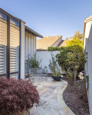 a view of a backyard with potted plants