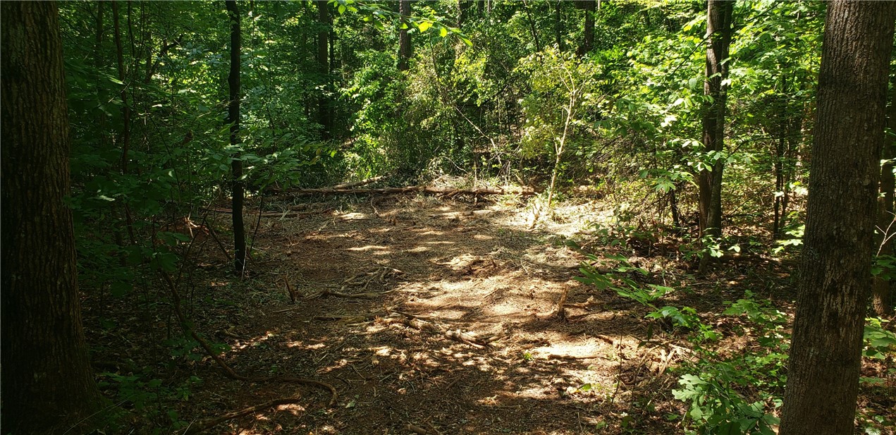 Lot 1 Bolt Road Westminster, SC 29693 - Photo 2 of 10 Gallery Image 2