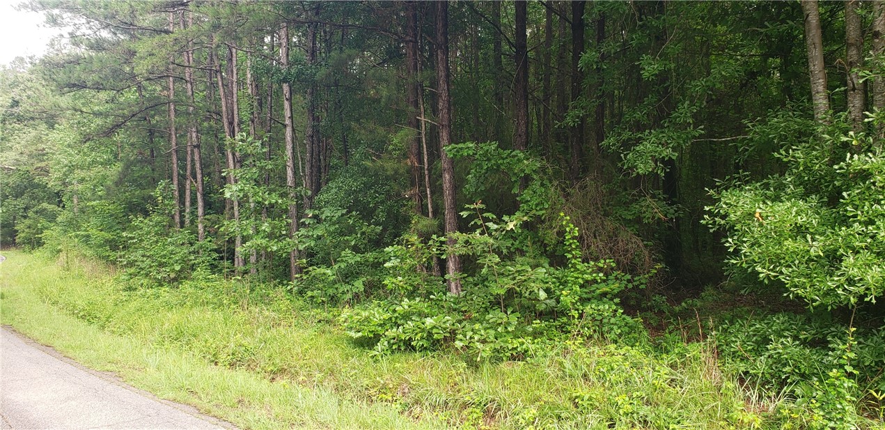 Lot 1 Bolt Road Westminster, SC 29693 - Photo 5 of 10 Gallery Image 5