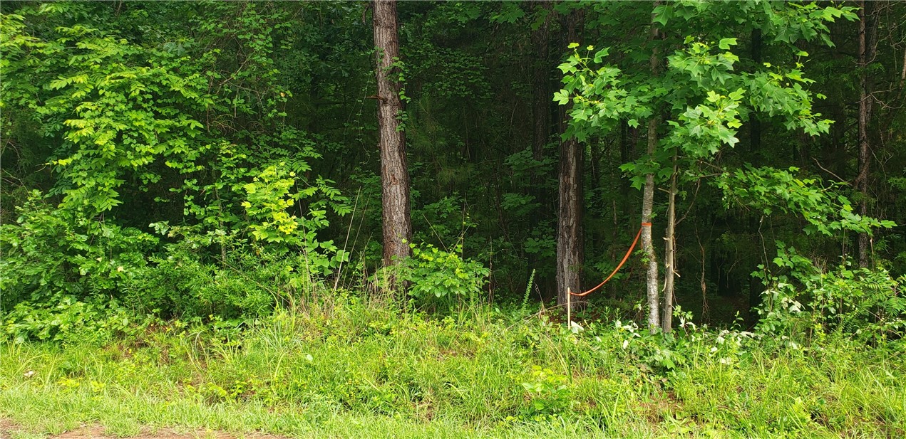Lot 1 Bolt Road Westminster, SC 29693 - Photo 6 of 10 Gallery Image 6