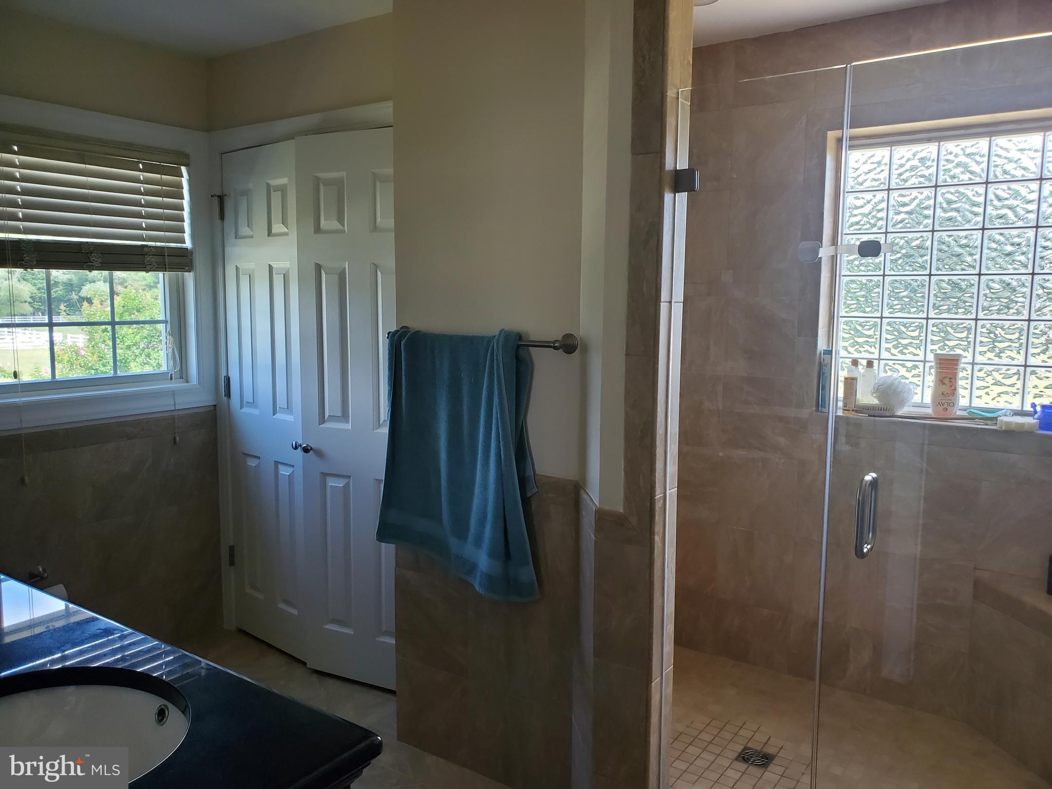 29205 Stockley Road Milton, DE 19968 - Photo 8 of 13 Master Bath