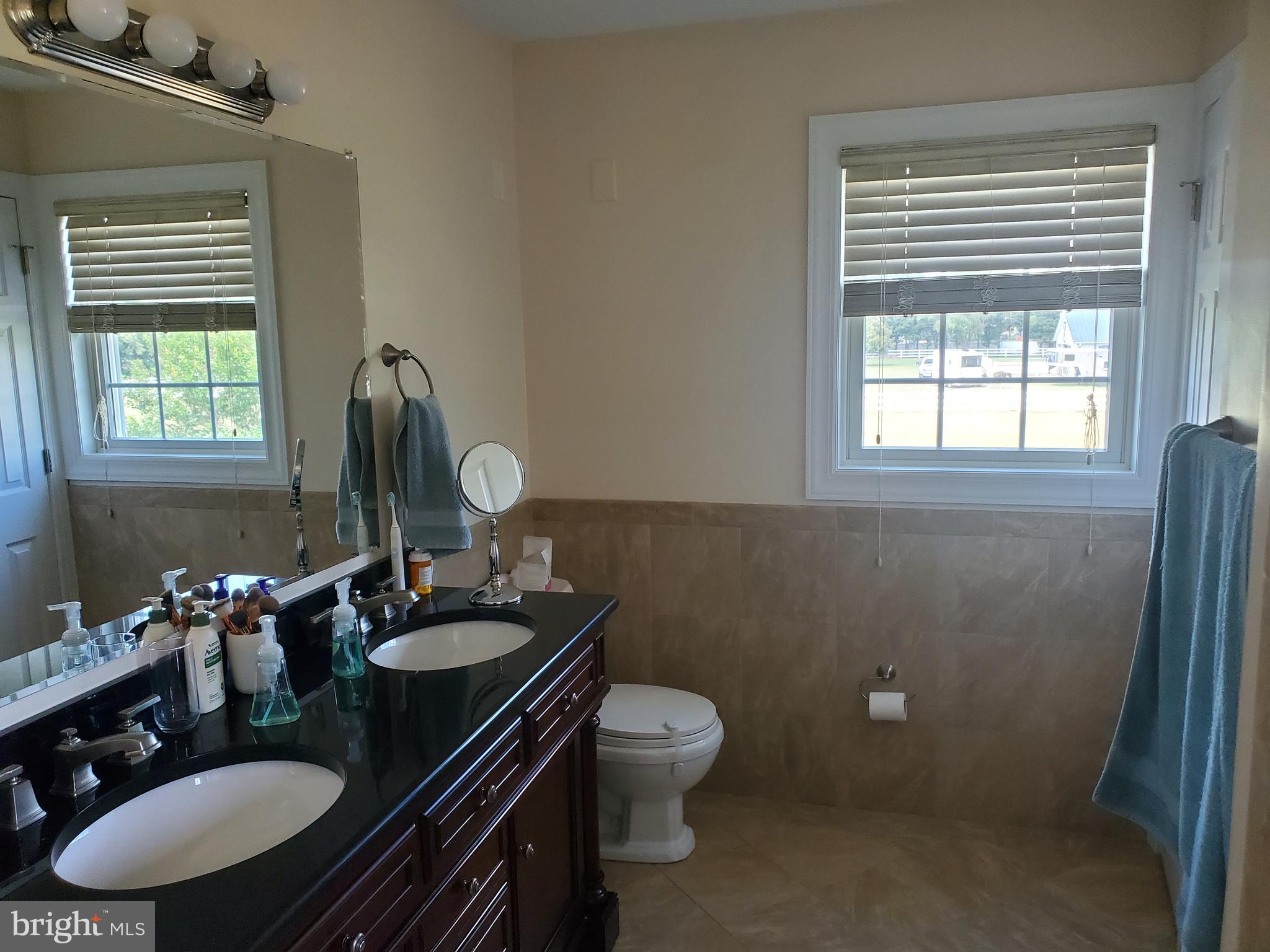 29205 Stockley Road Milton, DE 19968 - Photo 9 of 13 Master Bath
