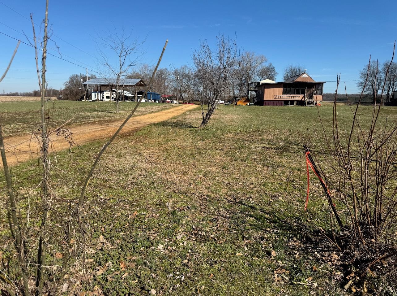 0 Arnold Lane Savannah, TN 38372 - Photo 6 of 8 a view of a yard