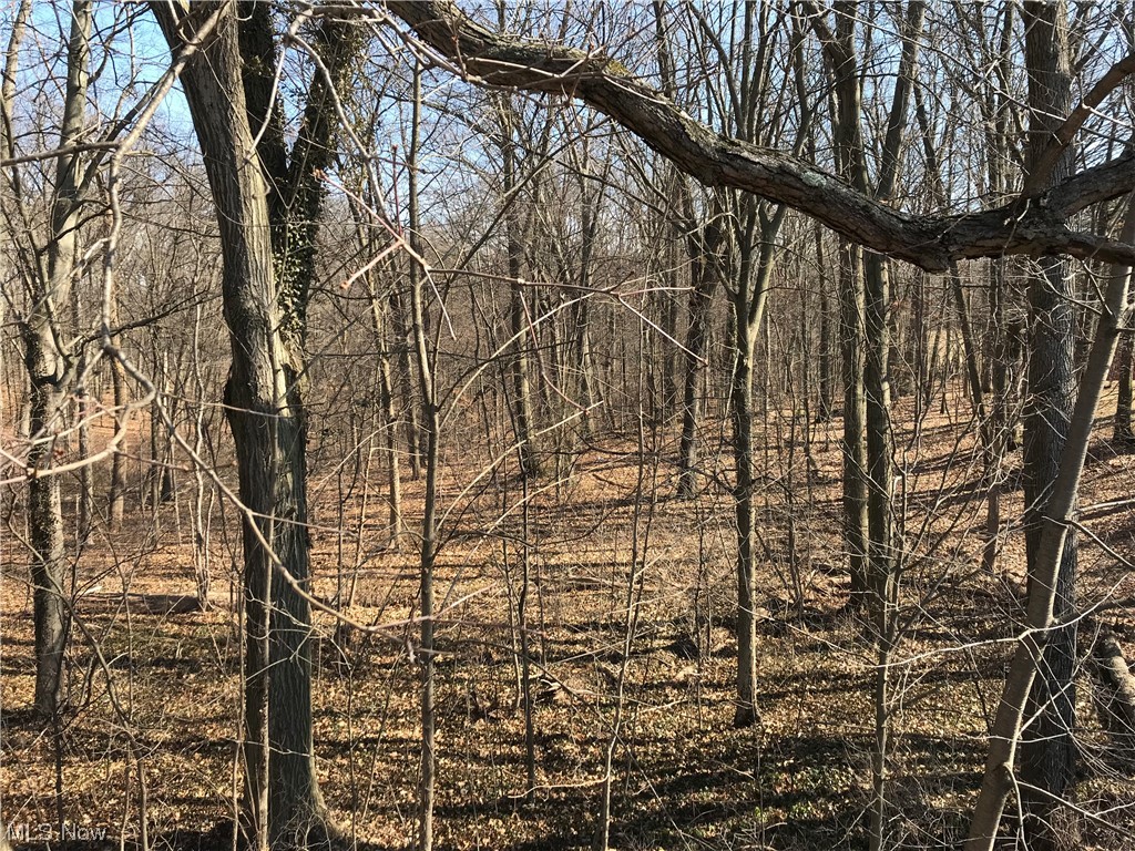 1610 Schroeder Road Mogadore, OH 44260 - Photo 16 of 46 View of nature from lower level patio