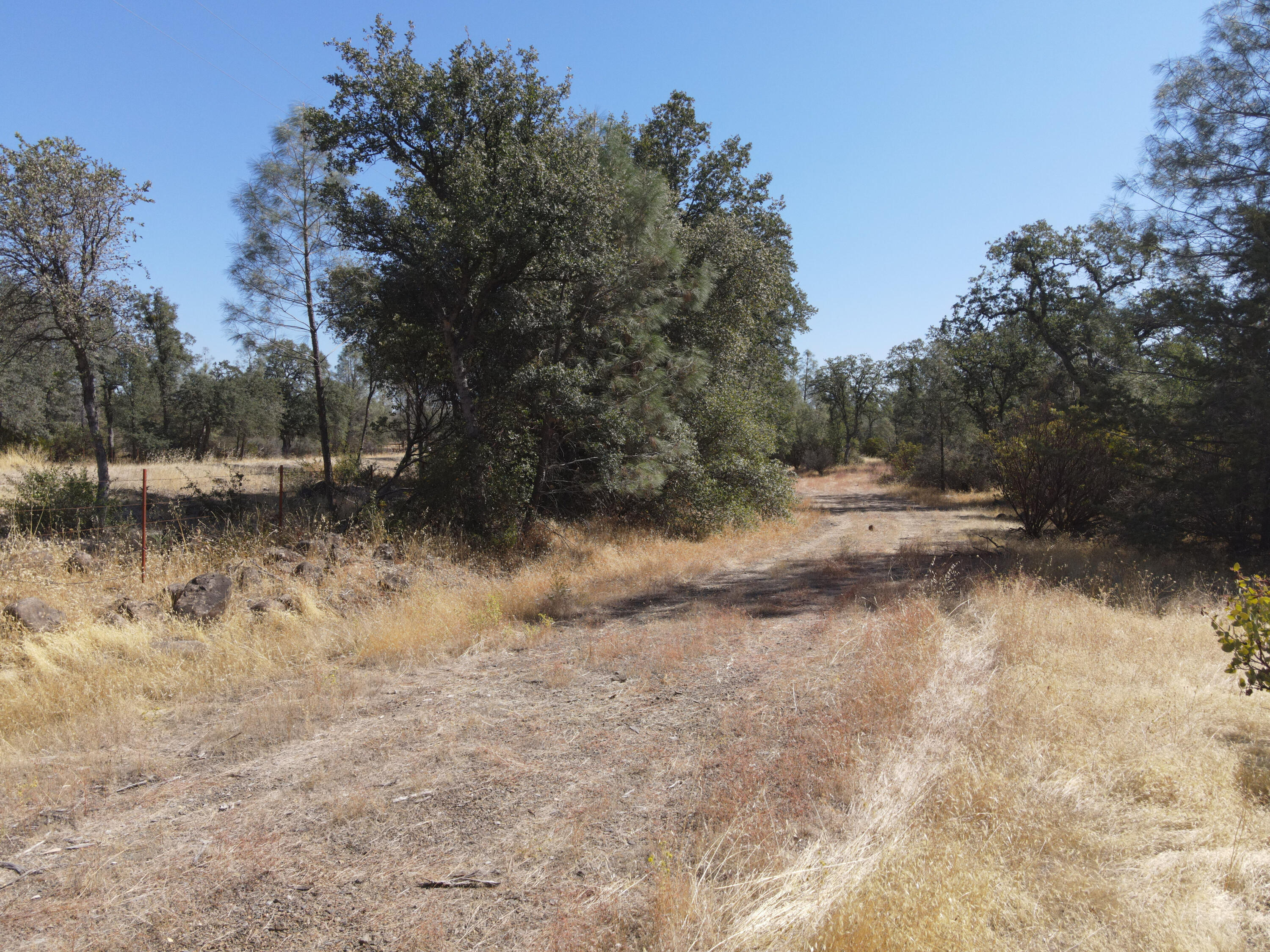 Nsa Dersch Road Shingletown, CA 96088 - Photo 9 of 56 DJI_0565_result