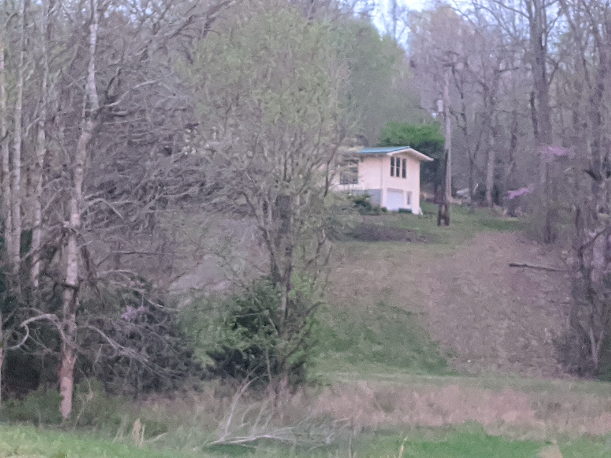 4446 Spring Valley Road Erin, TN 37061 - Photo 42 of 44 Gallery Image 42