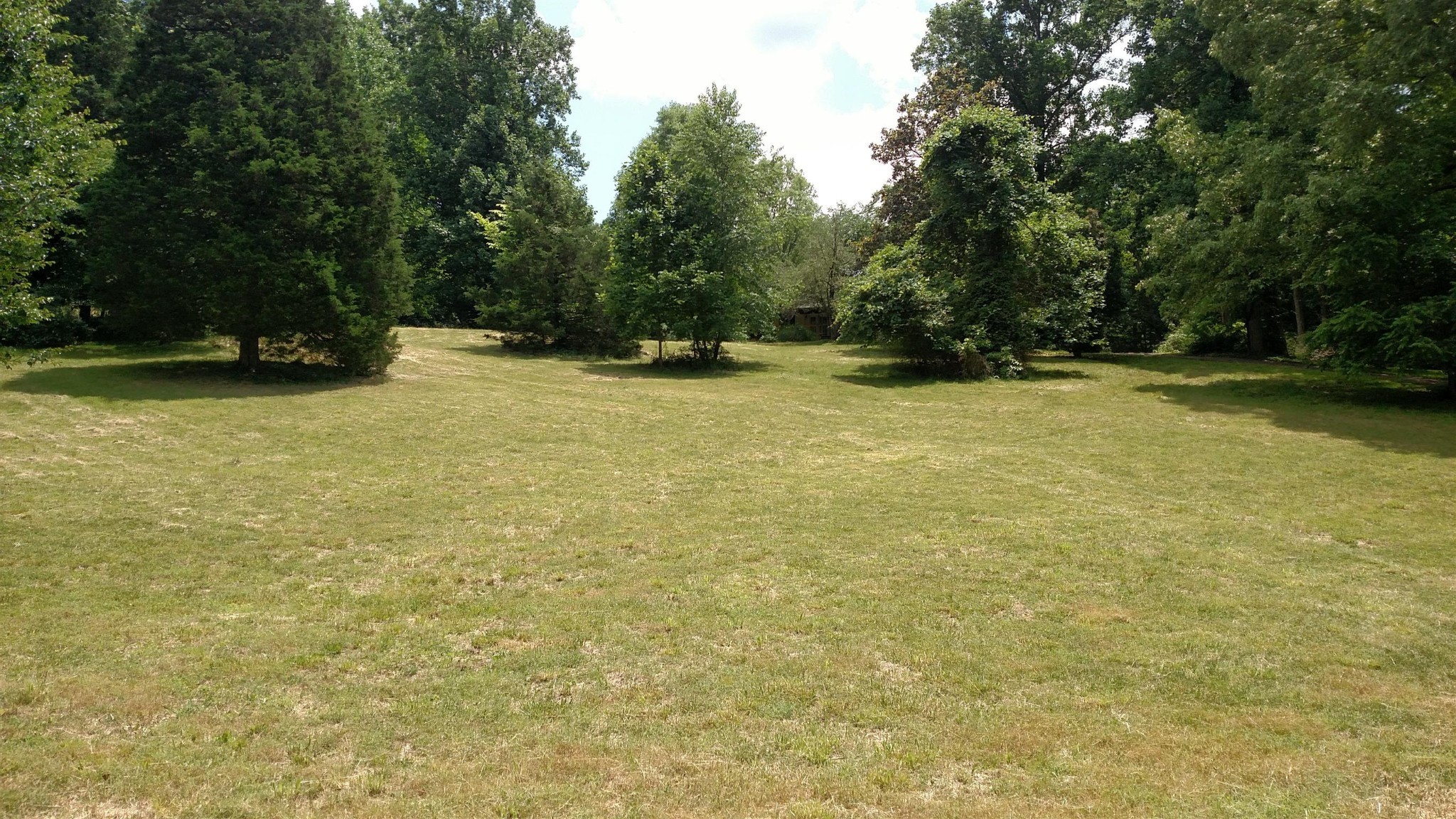 4446 Spring Valley Road Erin, TN 37061 - Photo 5 of 44 Gallery Image 5