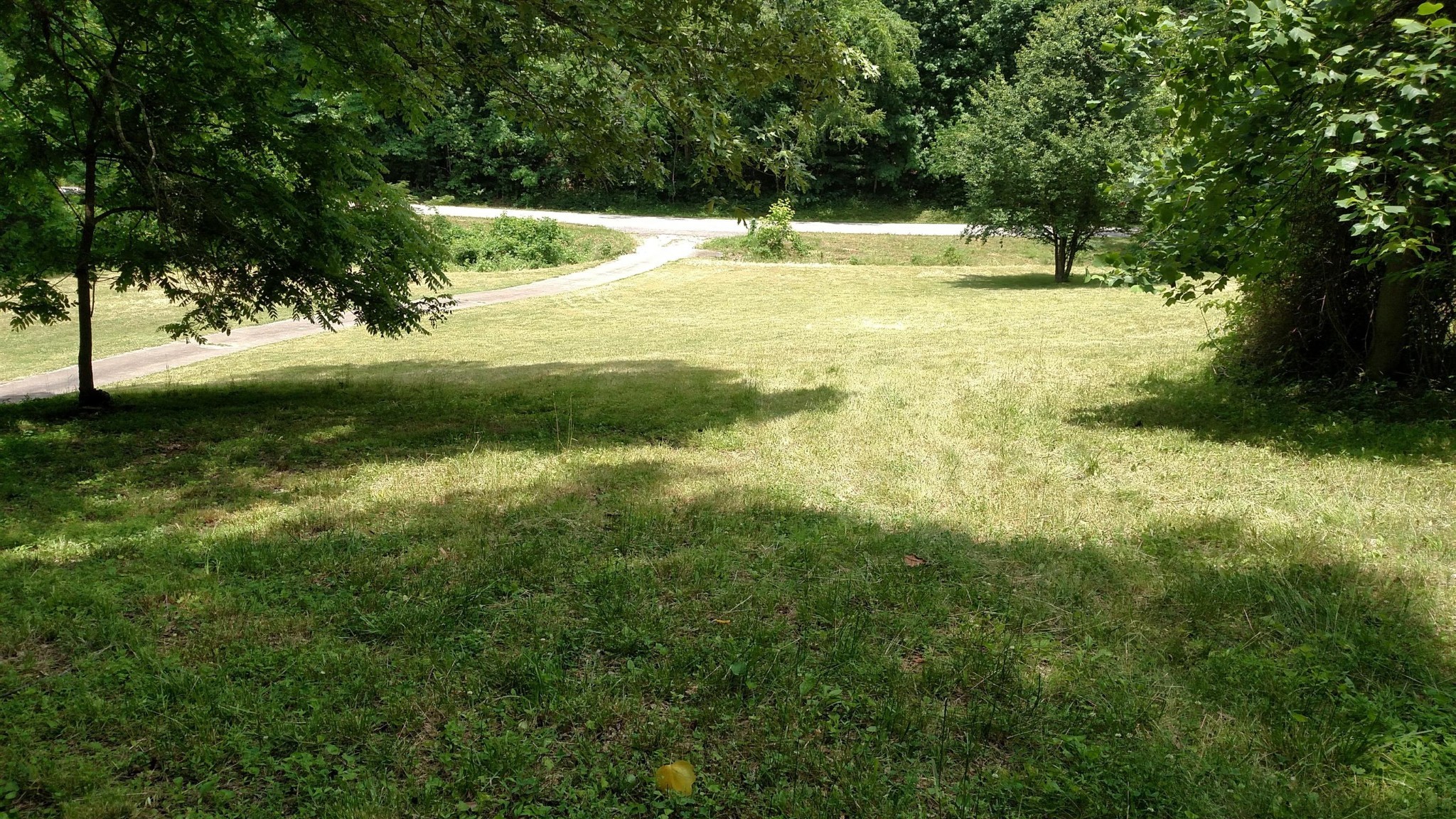 4446 Spring Valley Road Erin, TN 37061 - Photo 6 of 44 Gallery Image 6