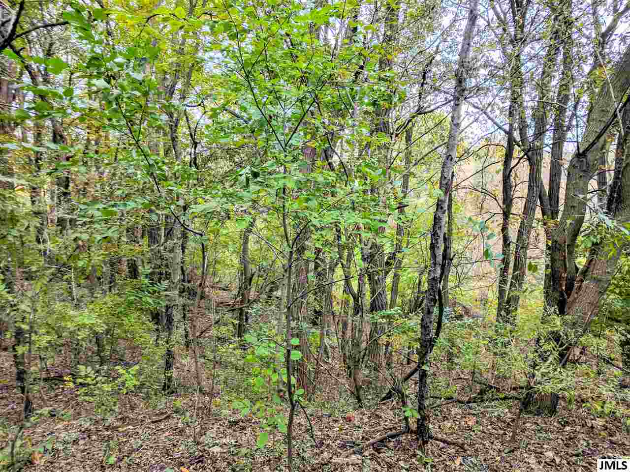 2671 South Tripp Road Osseo, MI 49266 - Photo 30 of 36