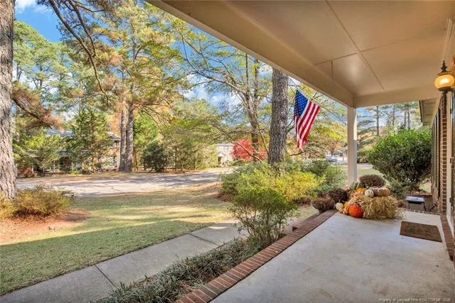 a view of a park with potted plants and a large tree
