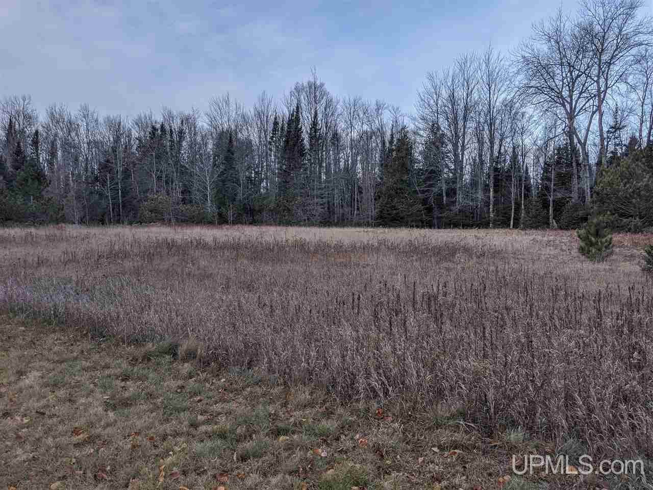 11851 Co Road Cornell, MI 49818 - Photo 24 of 49