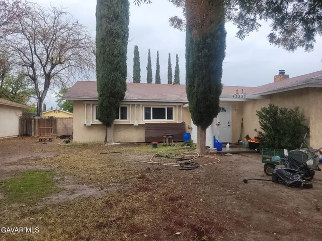 a view of a large tree in front of a house