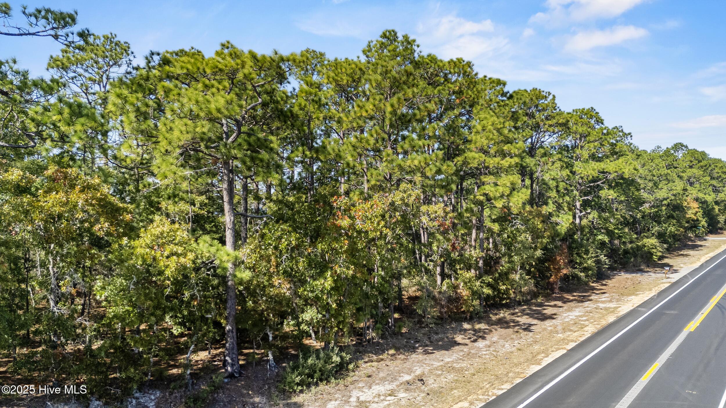 8230 River Road Wilmington, NC 28412 - Photo 7 of 9 Road leading to property