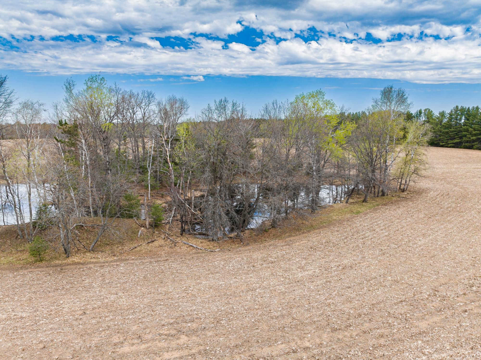 Lot 9 Moens Lake Drive Rhinelander, WI 54501 - Photo 4 of 5 Gallery Image 4