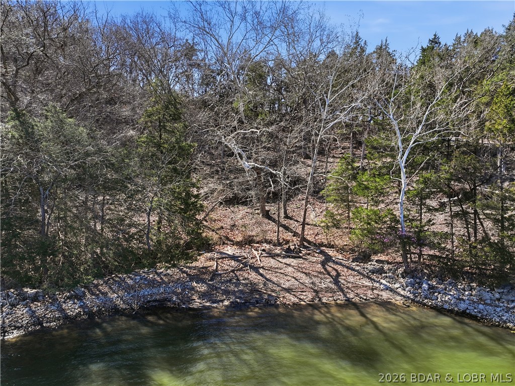 8-9 10 Starling Spring Road Roach, MO 65787 - Photo 6 of 26 some trees have been cleared - ready for developme