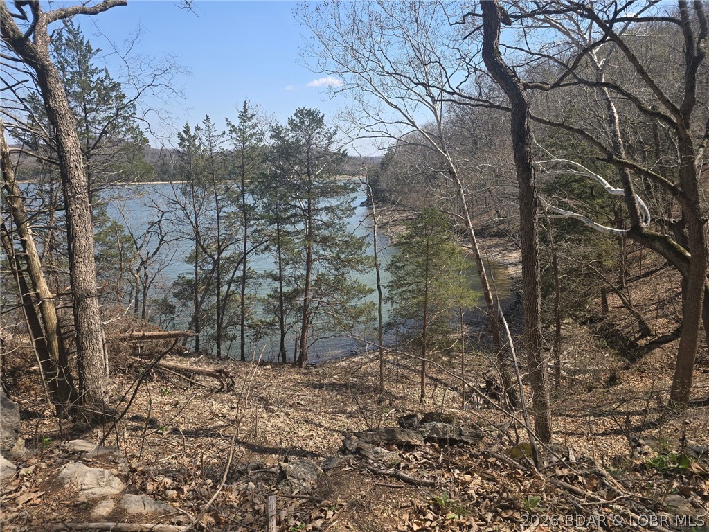 8-9 10 Starling Spring Road Roach, MO 65787 - Photo 7 of 26 Ground level