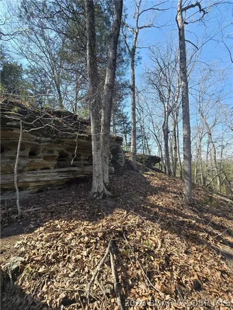 $950,000 | 8-9 10 Starling Spring Road, Roach, MO 65787
