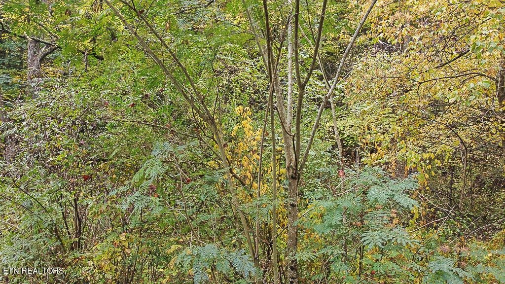 1 Flat Branch Road Sevierville, TN 37876 - Photo 21 of 26 Gallery Image 21