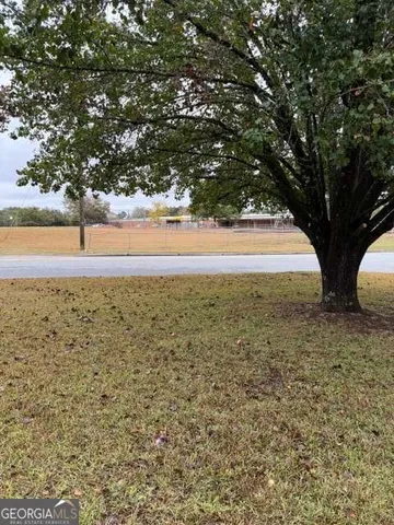 a view of yard with large trees