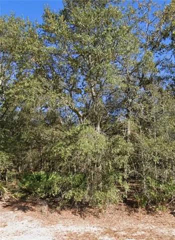 $64,750 | 1344 River Landing Way, Blackshear, GA 31516