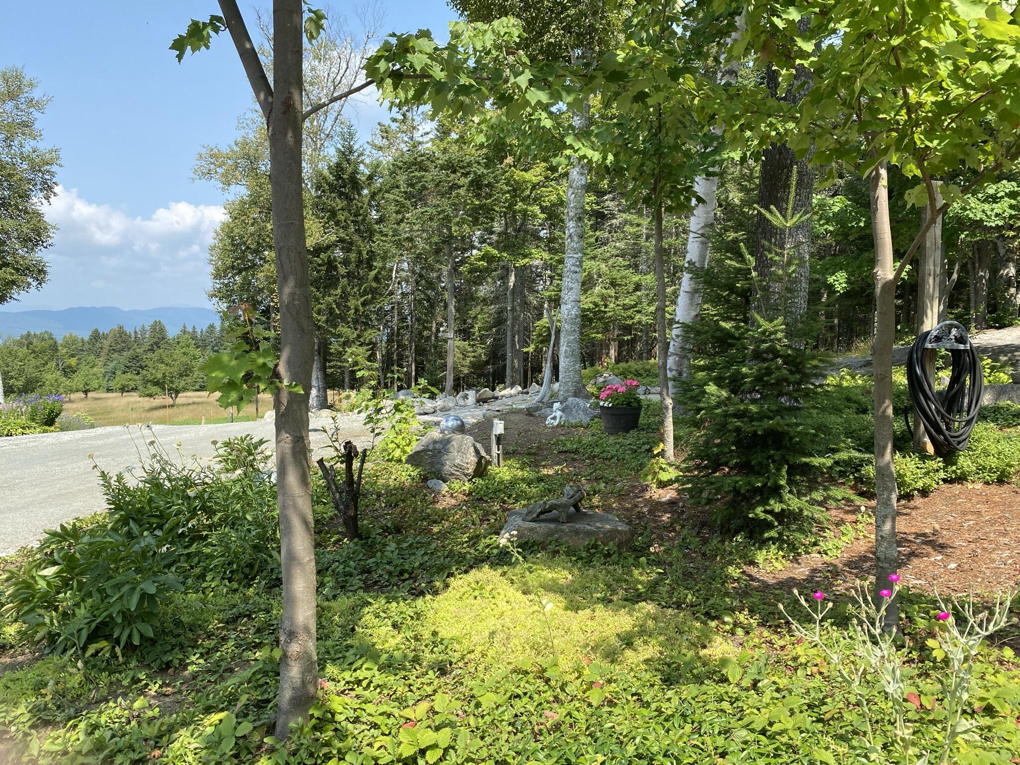 276 Thistle Street Upton, ME 04261 - Photo 10 of 80 IMG_4618