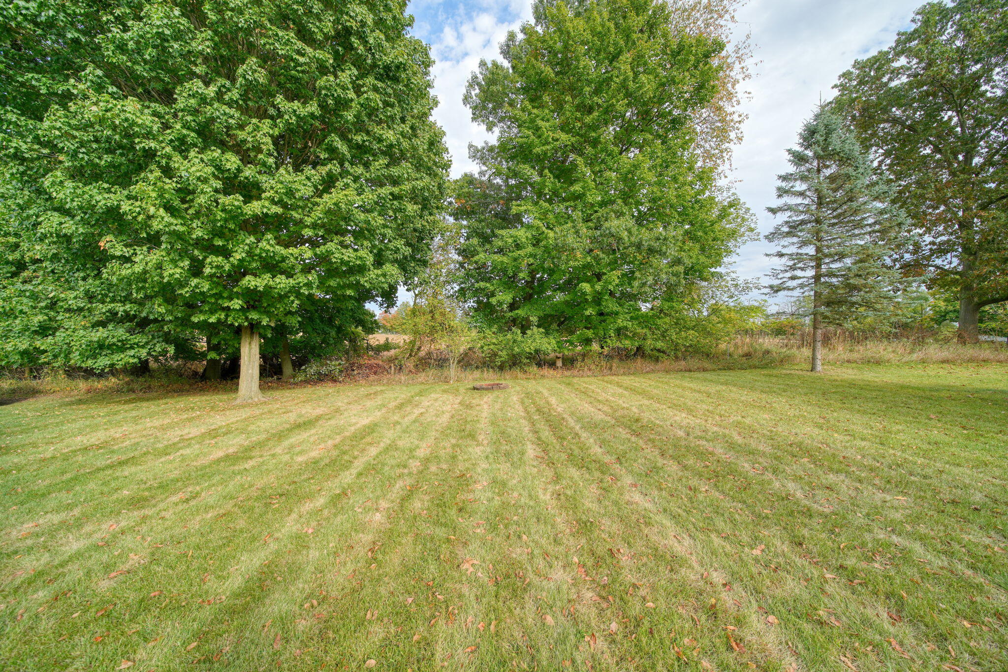 115 Ridgeview Court Grass Lake, MI 49240 - Photo 39 of 42 39-web-or-mls-DSC02892_HDR