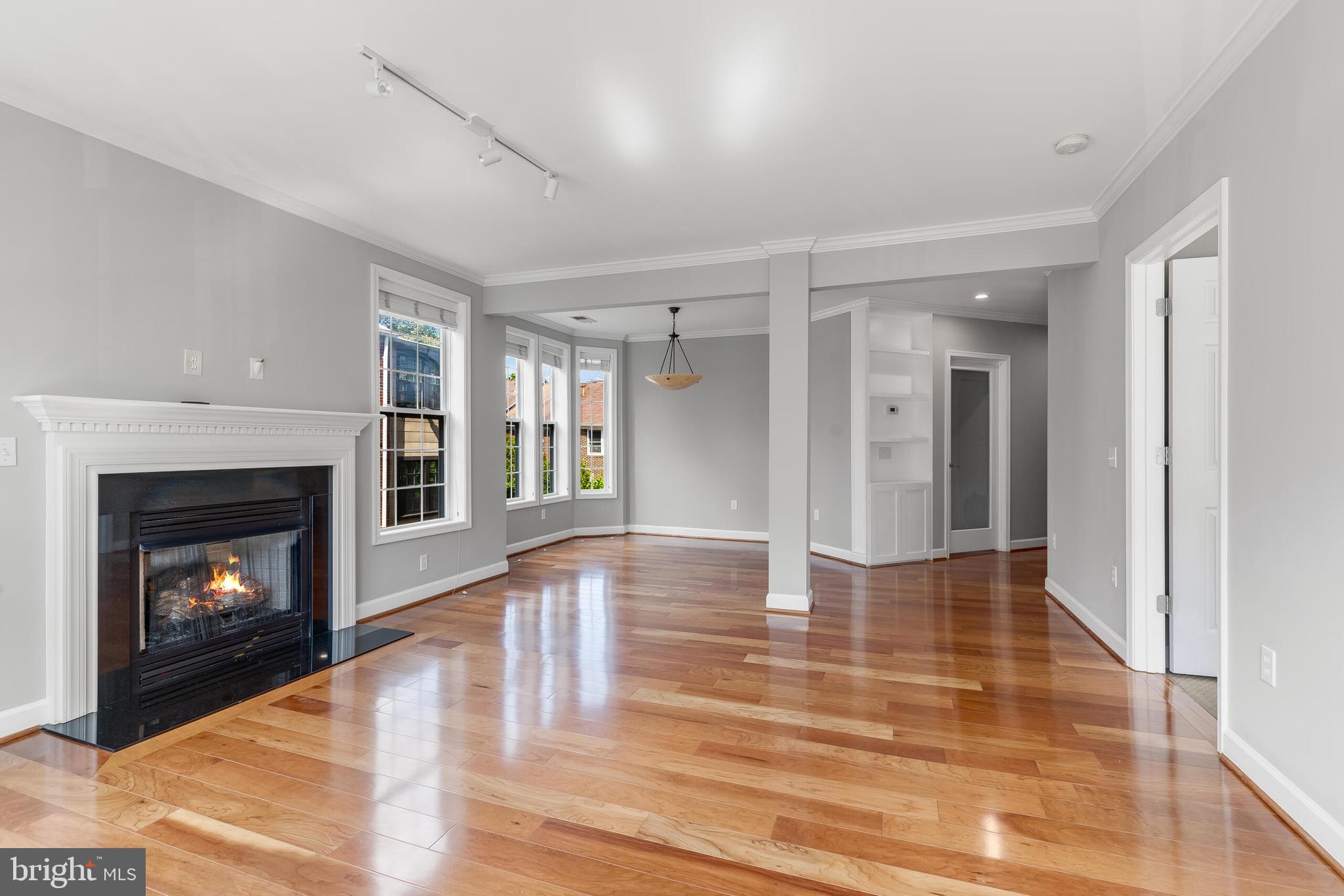 1423 North Rhodes Street, Unit 201 Arlington, VA 22209 - Photo 3 of 30 With Fireplace