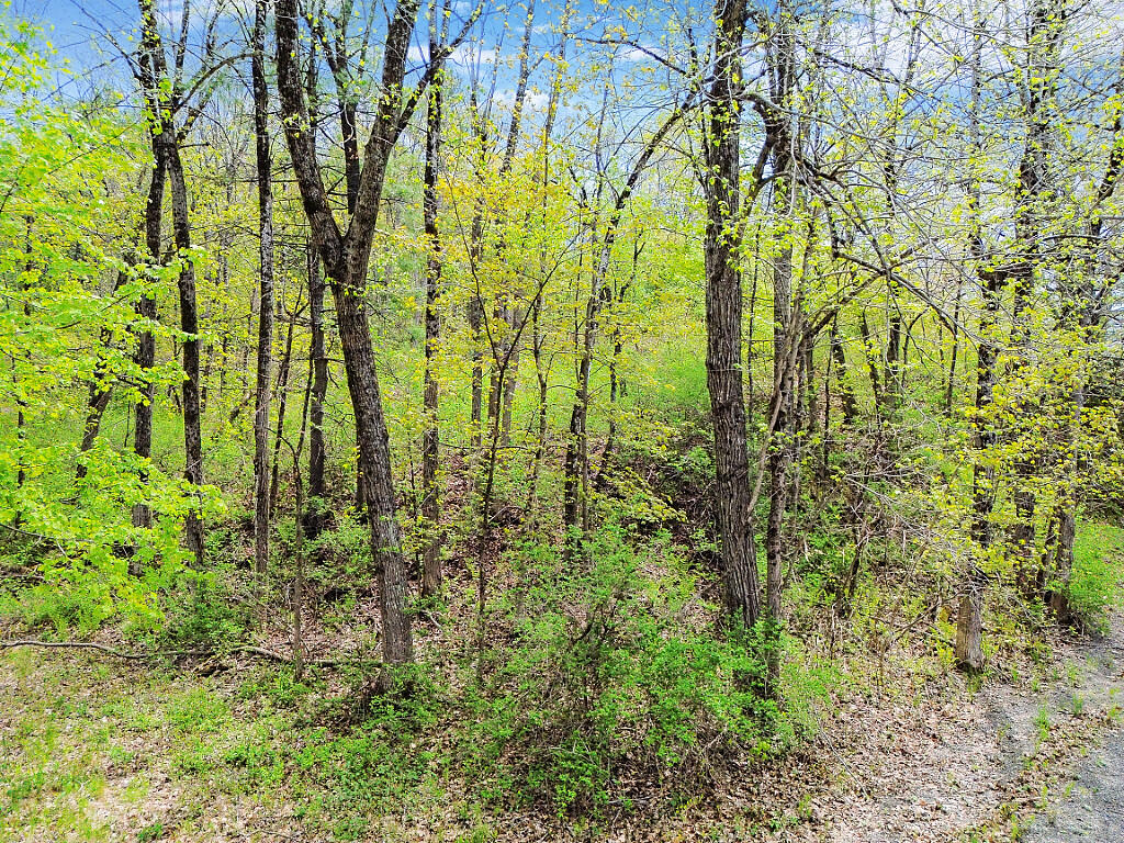0 Kennedy Road Augusta, ME 04330 - Photo 29 of 32 60_DJI_0419_DxO_mls