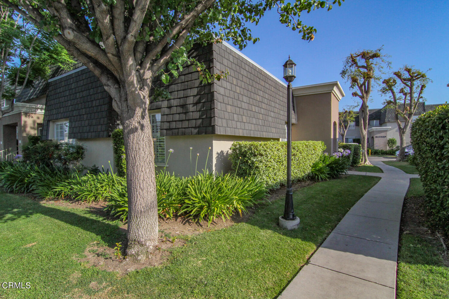 19230 Hamlin Street, Unit 1 Reseda, CA 91335 - Photo 16 of 17 a view of a house with a yard and a tree