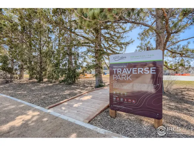 a view of a park with large trees
