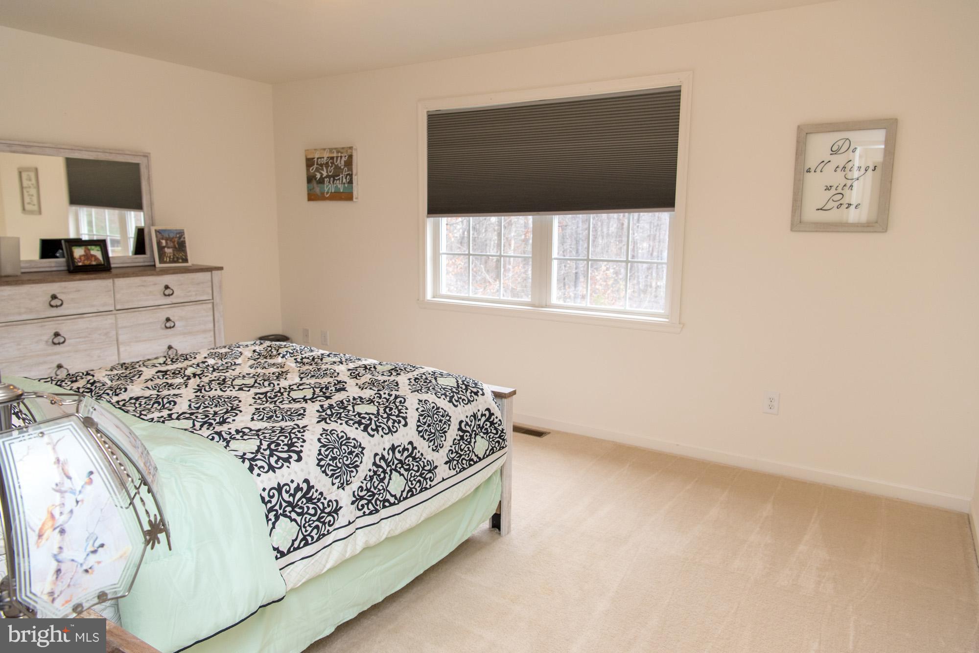 7313 Old Dickersons Road Orange, VA 22960 - Photo 12 of 30 Bedroom