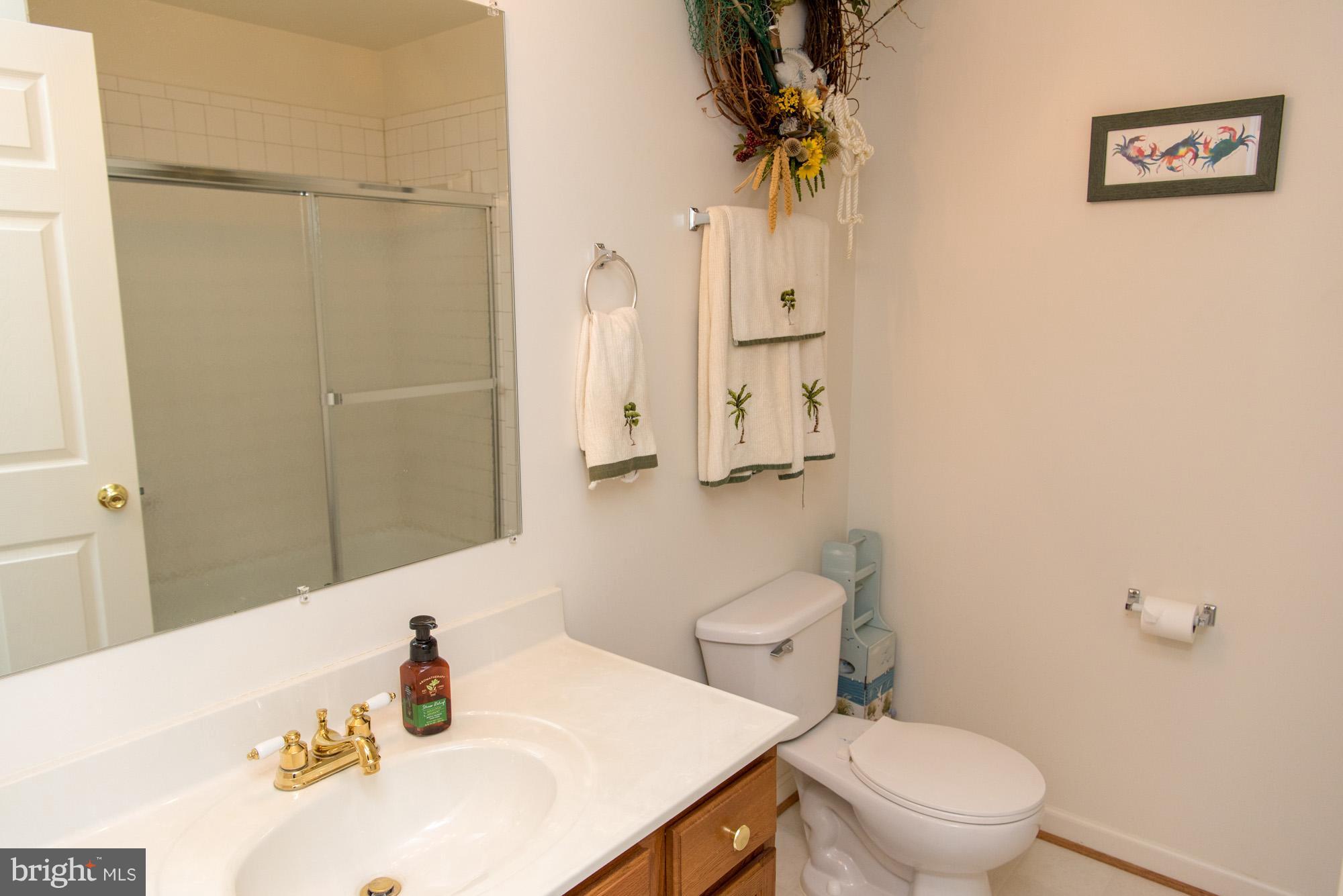 7313 Old Dickersons Road Orange, VA 22960 - Photo 14 of 30 Bath