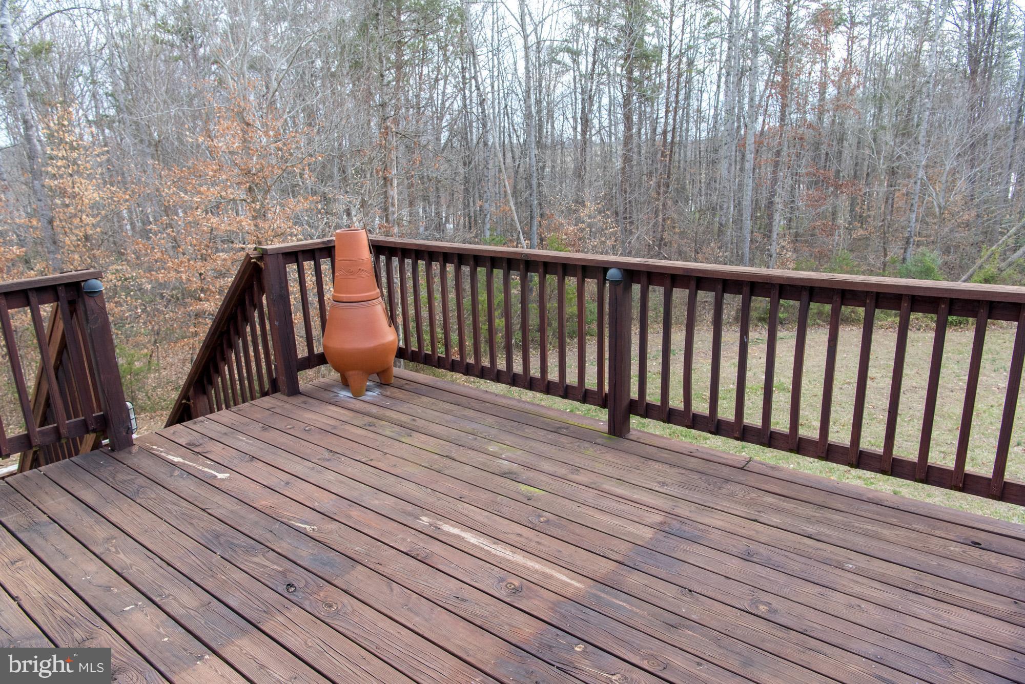 7313 Old Dickersons Road Orange, VA 22960 - Photo 6 of 30 Exterior (Rear)