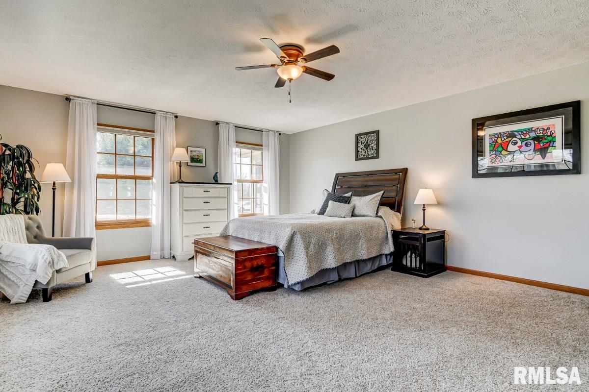 6469 Country Green Rochester, IL 62563 - Photo 20 of 50
