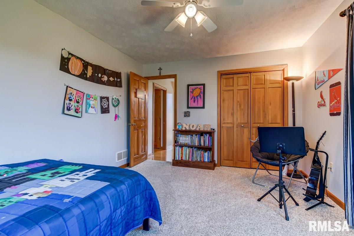 6469 Country Green Rochester, IL 62563 - Photo 23 of 50