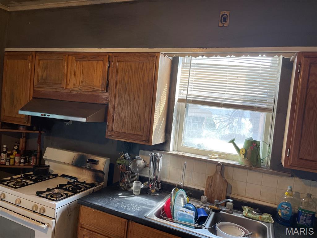 1047 Veronica Avenue St. Louis, MO 63147 - Photo 13 of 17