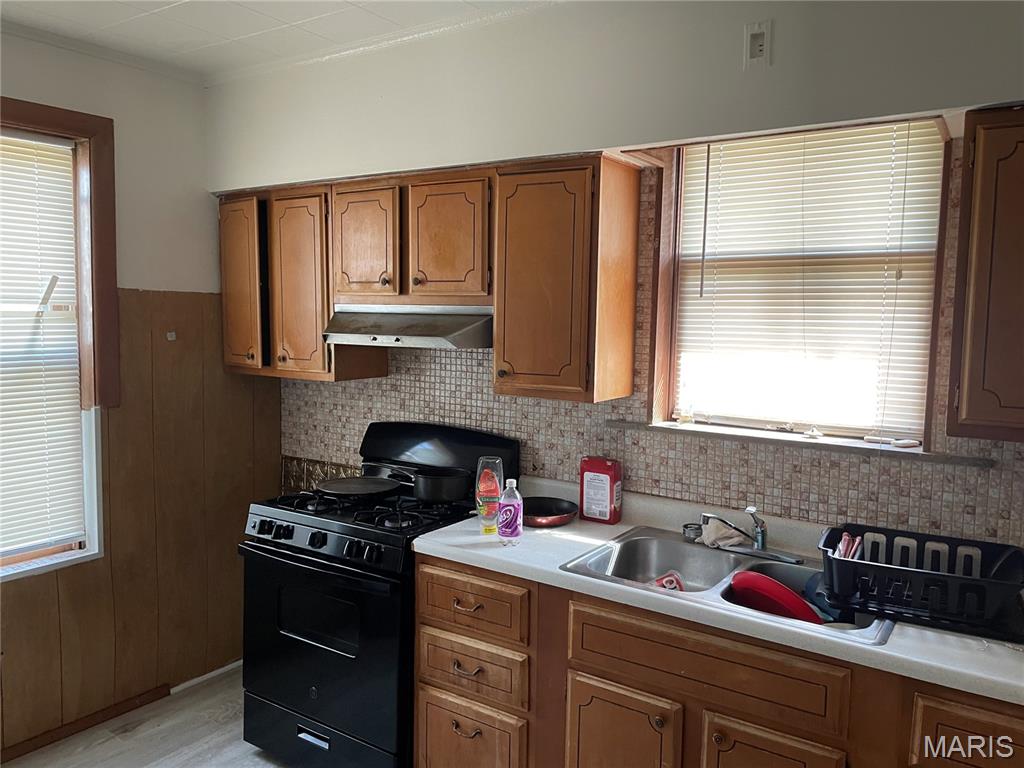 1047 Veronica Avenue St. Louis, MO 63147 - Photo 2 of 17