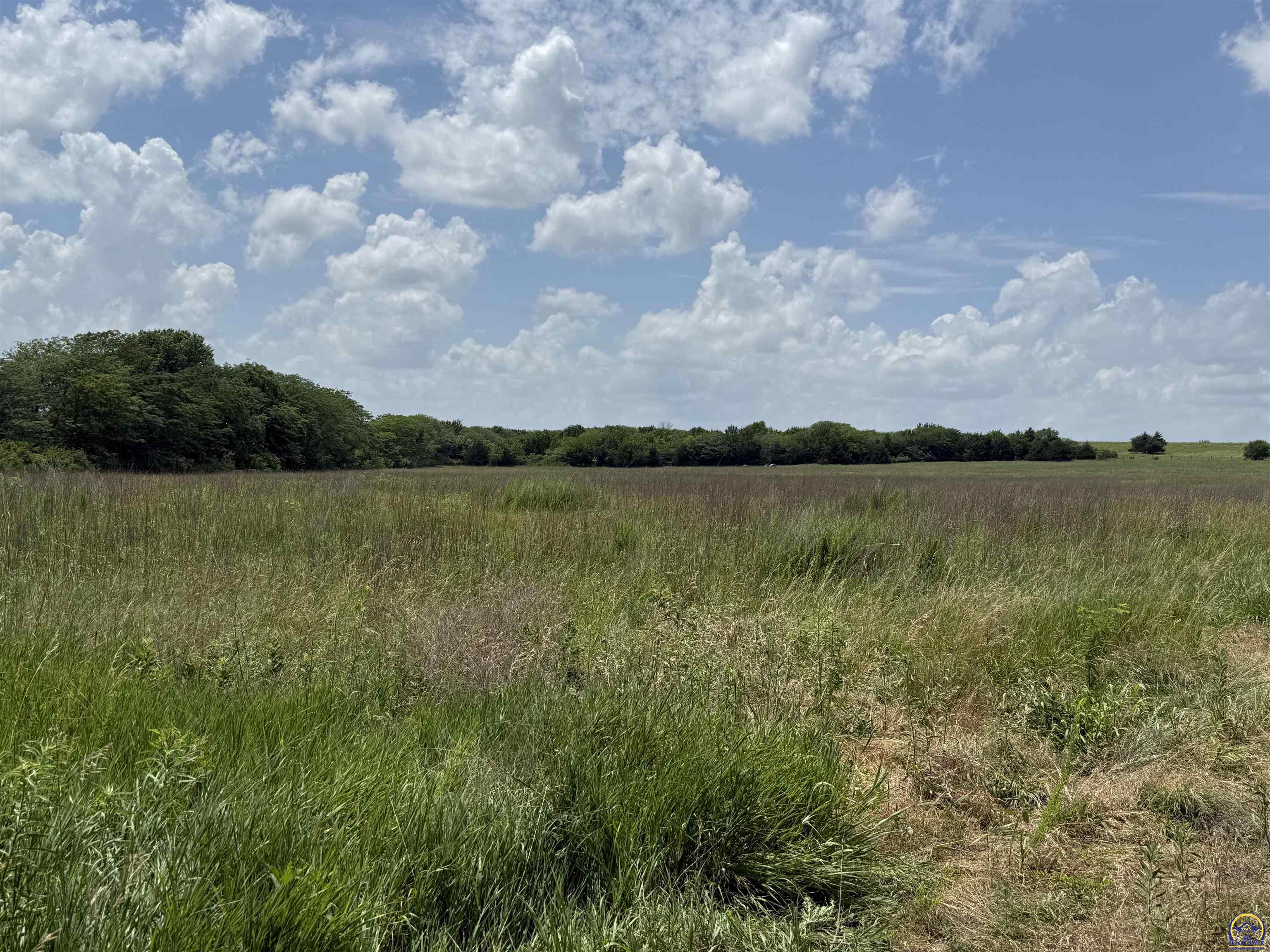 0 North 851st Diagonal Road Overbrook, KS 66524 - Photo 3 of 4