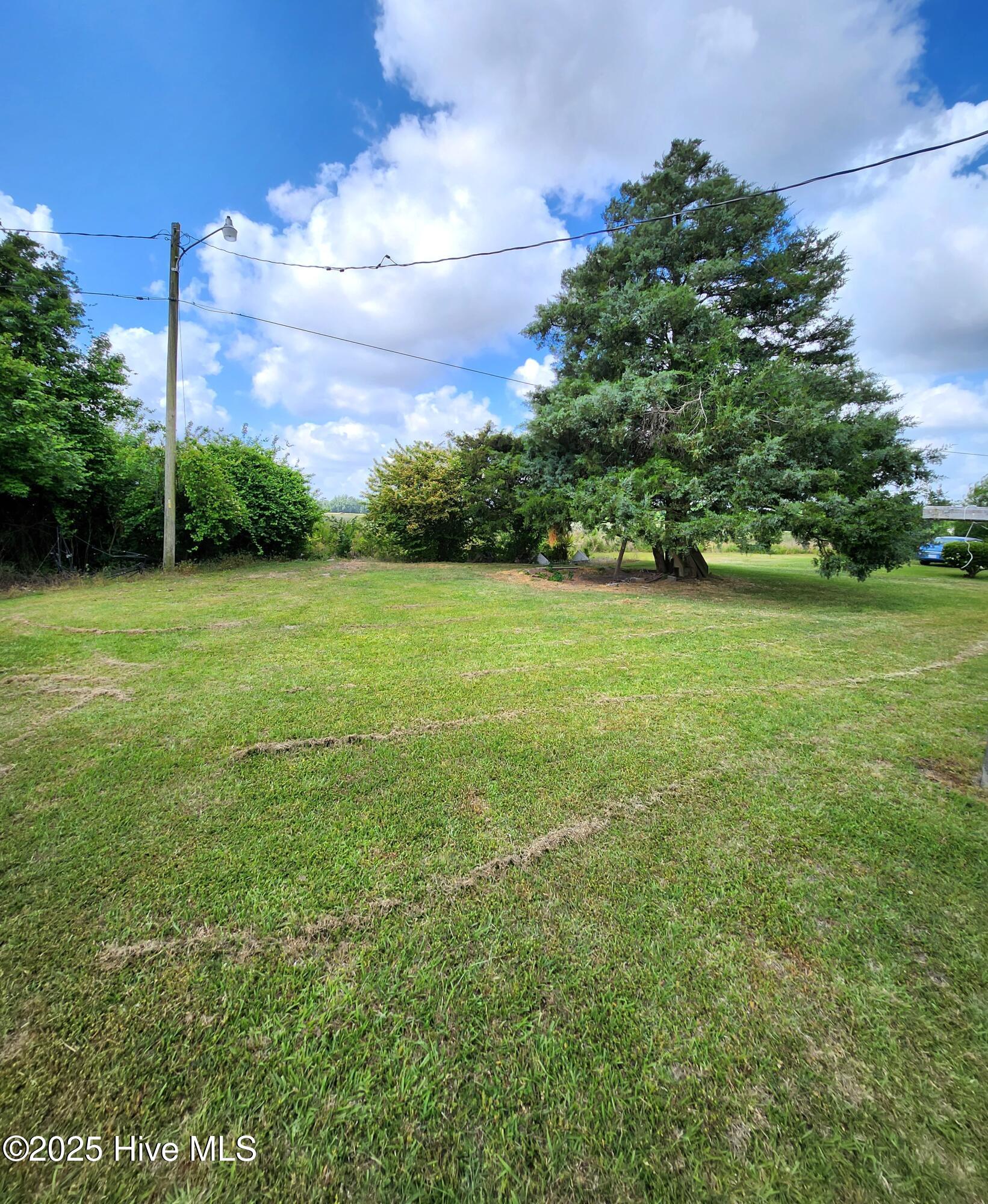 4590 Wilson Drive Ayden, NC 28513 - Photo 12 of 15 Back Yard