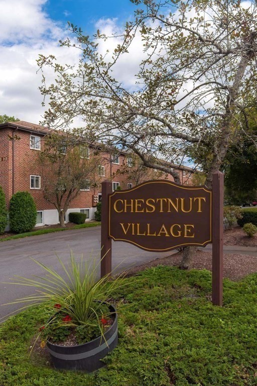 74 Bryon Road, Unit 6 Chestnut Hill, MA 02467 - Photo 11 of 13