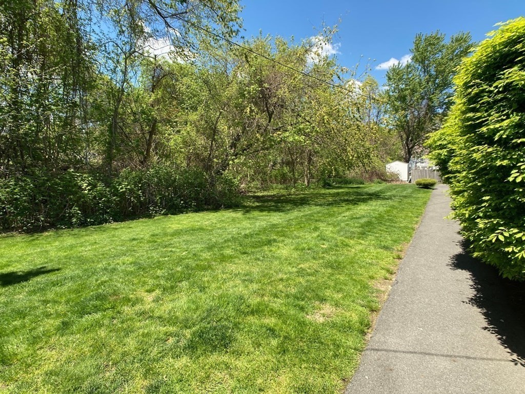 74 Bryon Road, Unit 6 Chestnut Hill, MA 02467 - Photo 12 of 13