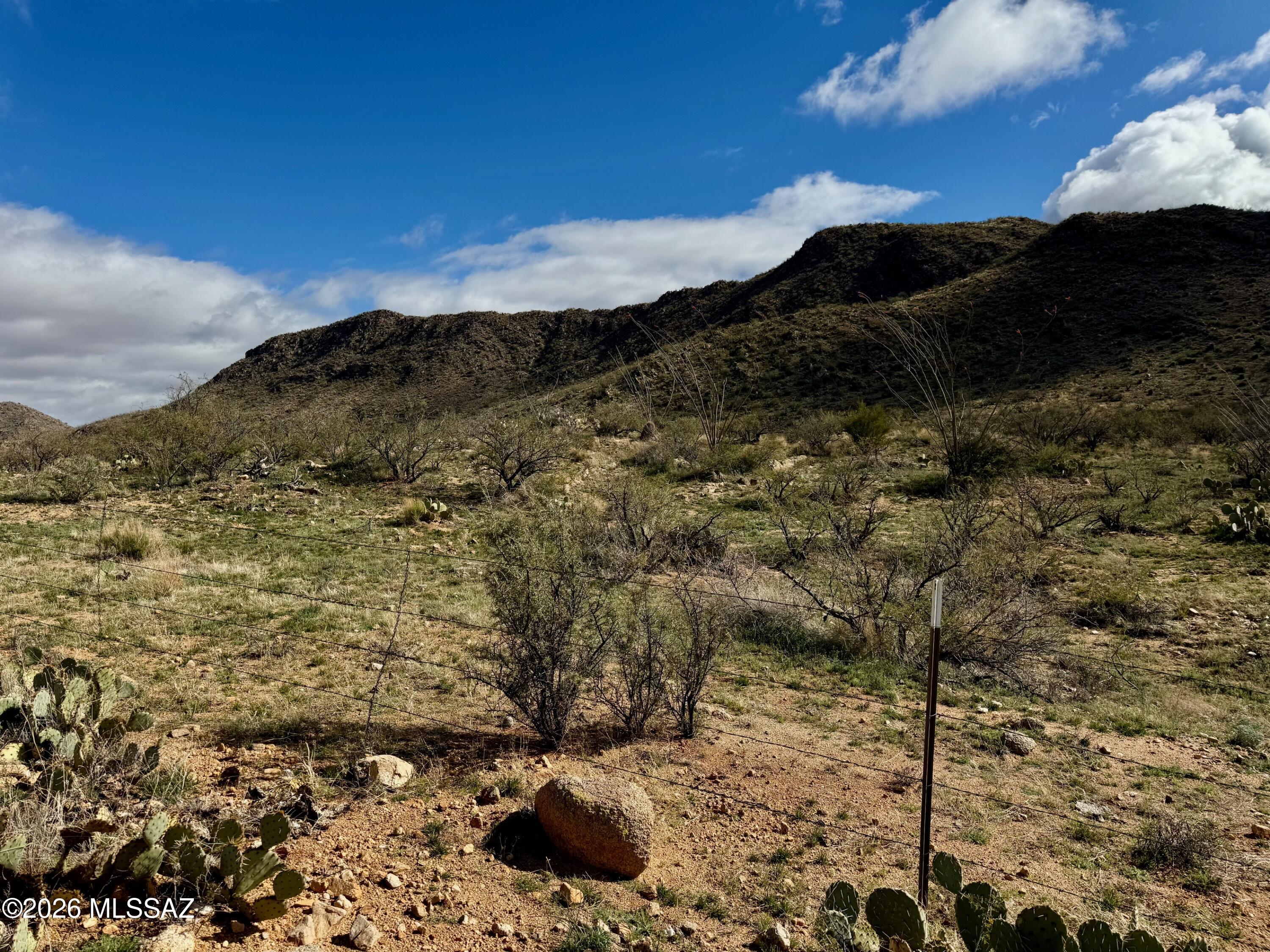 17027 South Sierrita Mountain Road Tucson, AZ 85736 - Photo 14 of 34 a view of a dry yard