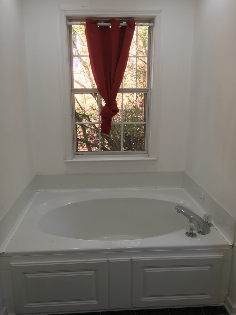 210 Riderwood Drive Dalton, GA 30721 - Photo 9 of 20 Garden Tub