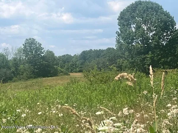 a view of a green field with lots of bushes