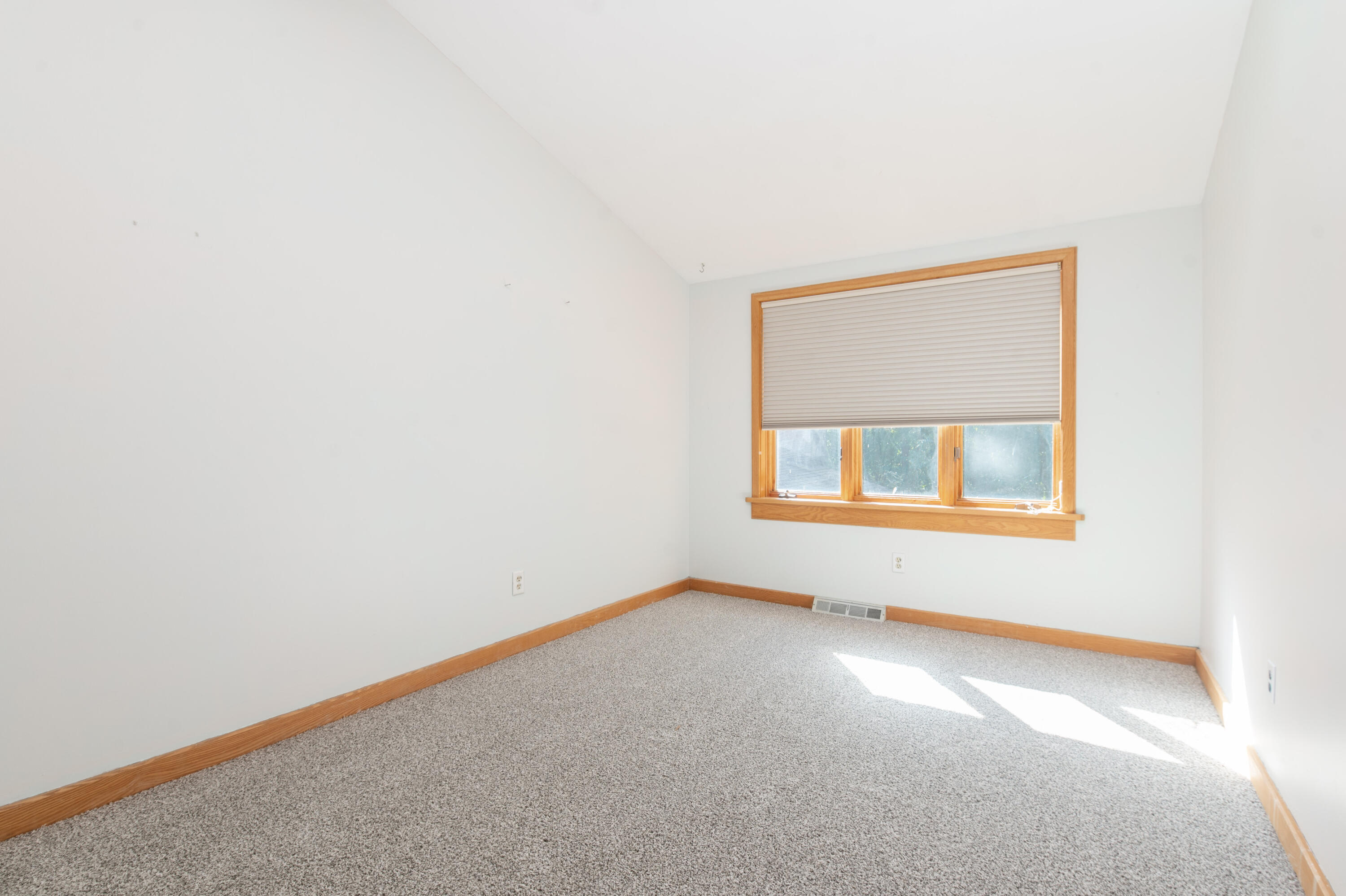 W318N1045 Huckleberry Way Delafield, WI 53018 - Photo 18 of 28 18