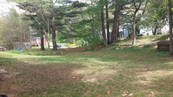 73 Wellesley Road Natick, MA 01760 - Photo 10 of 11 a view of a tree in a yard