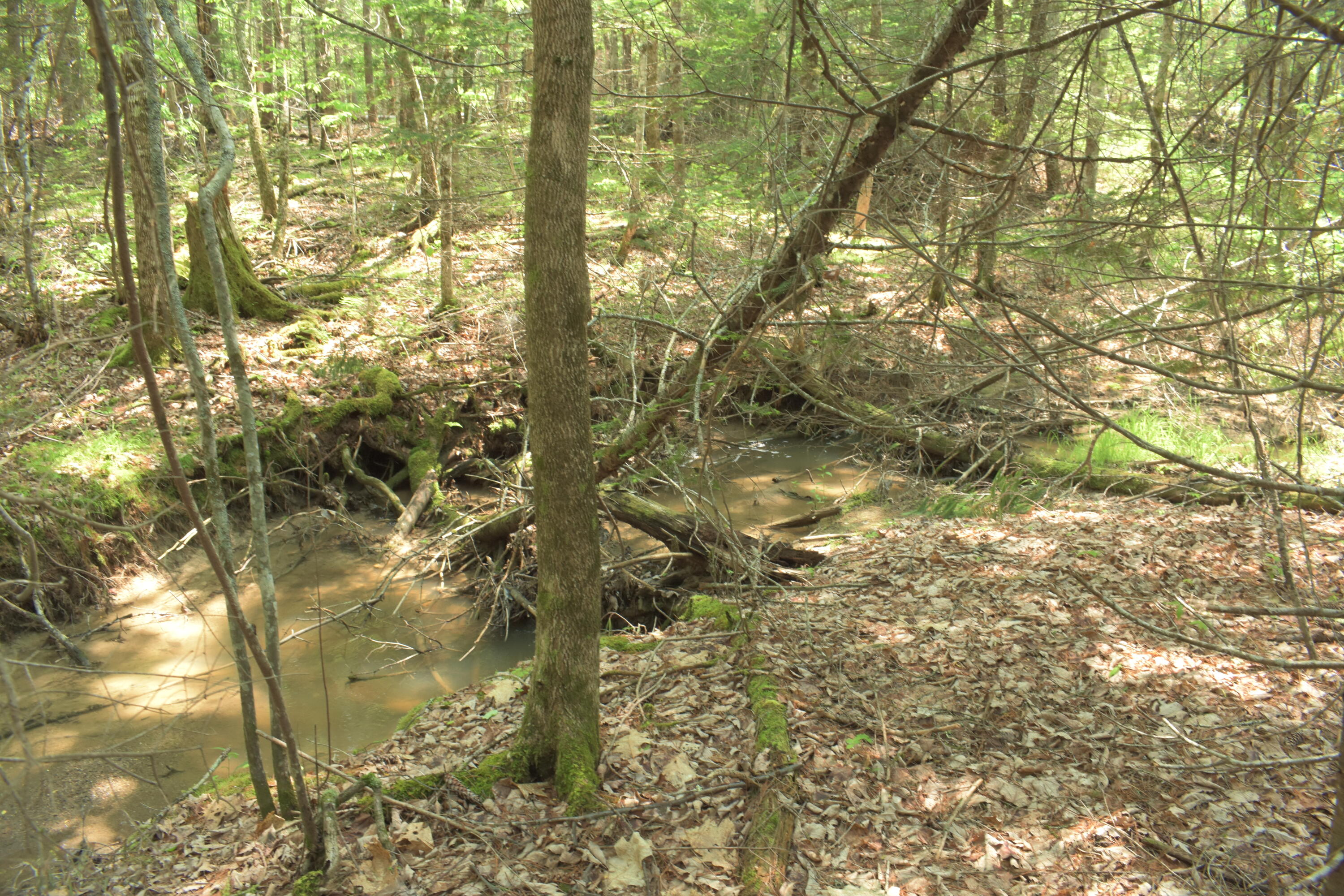 Lot 3-2 Milbridge Road Cherryfield, ME 04622 - Photo 12 of 17 small stream on property